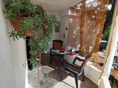 Ortopla Terrace Apartment Stinica