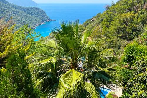 a palm tree on a hill with the ocean at Fullmoon Camp in Faralya