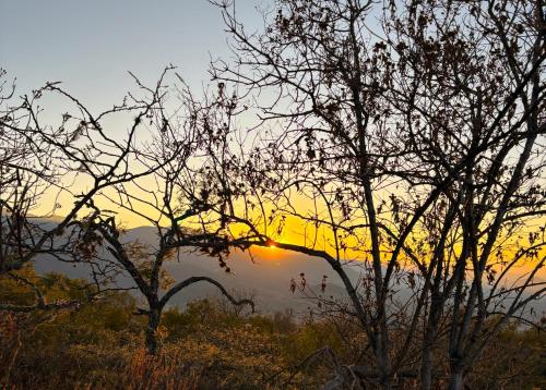 a sunset behind a tree with the sun in the background at Casa Elim-Oaxaca in Teotitlán del Valle