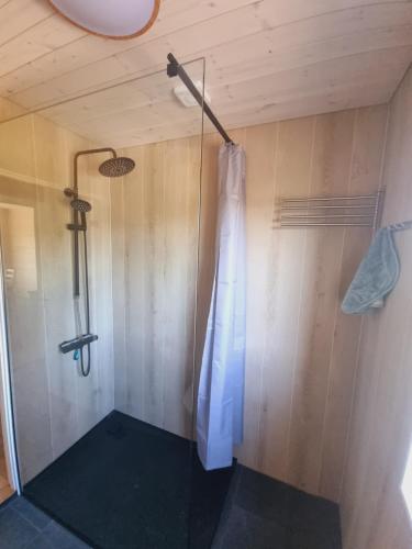 y baño con ducha y puerta de cristal. en Bärenzimmer Wilderness Life, en Arvidsjaur