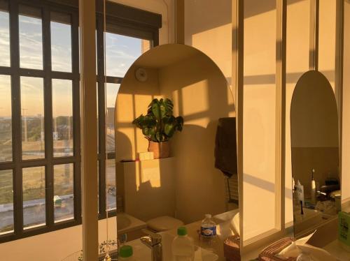 La salle de bains est pourvue d'un miroir et d'un lavabo avec une plante. dans l'établissement Magnifique penthouse familial à Saint Ouen - Idéal jeux Olympiques, à Saint-Ouen