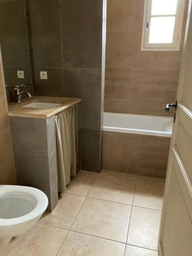 a bathroom with a toilet and a sink and a tub at Saint laurent de la cabrerisse Rivière proche Lagrasse in Saint-Laurent-de-la-Cabrerisse