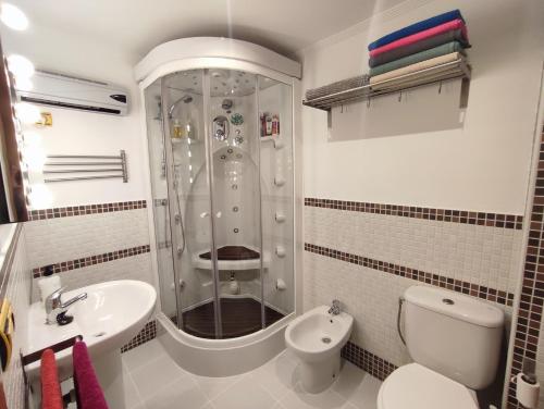 a bathroom with a shower and a toilet and a sink at Apartamento Casa Graná in Palencia