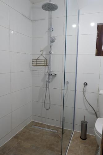een douche in een badkamer met een glazen deur bij Bosnian Mountain Retreat in Prijedor