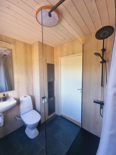 a bathroom with a toilet and a sink and a shower at Elch Zimmer Wilderness Life in Arvidsjaur