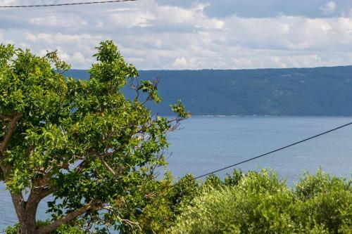 a tree with a view of a body of water at Yasmin in Brseč