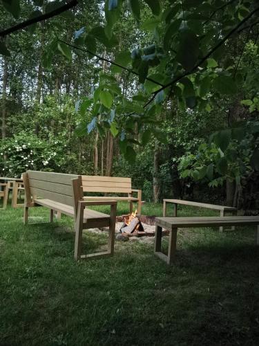 Gambar di galeri bagi Zielone Zacisze di Wierzchucino