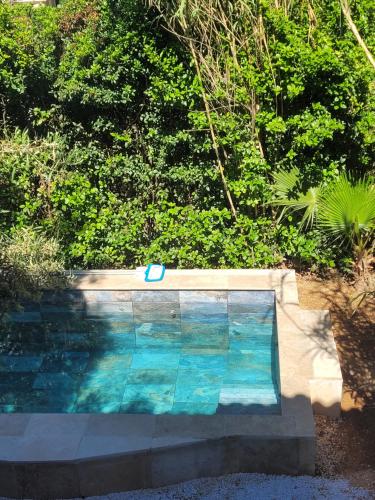 une piscine avec un objet bleu dessus dans l'établissement Villas près de la plage, à Six-Fours-les-Plages