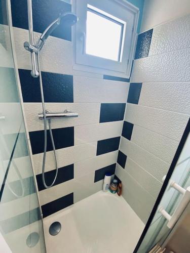 La salle de bains bleue et blanche est pourvue d'une douche et de toilettes. dans l'établissement Charmant Duplex en centre-ville, à Torcy