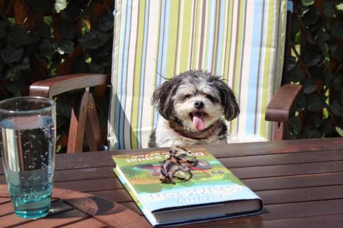 a dog sitting at a table next to a book at Coom Cottage in Gneevgullia