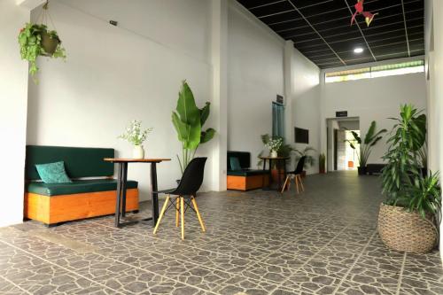une salle avec des chaises, des tables et des plantes en pot dans l'établissement Asha Hostel, à Fortuna