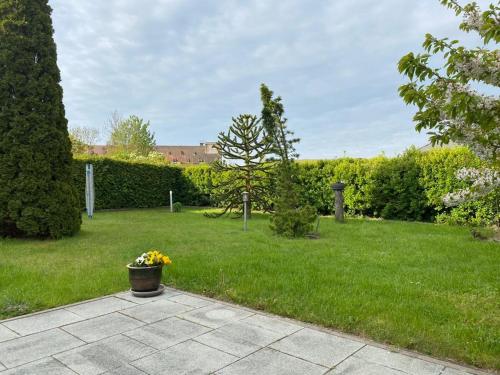 a garden with a pot of flowers in the grass at Schöne Maisonettewohnung in der Barlachstadt Güstrow in Güstrow