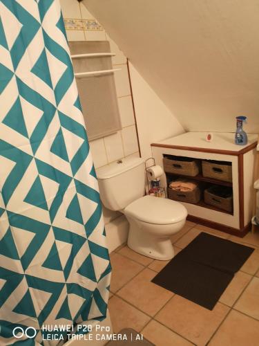 une salle de bain avec toilettes et rideau de douche dans l'établissement Studio entier, à Sens