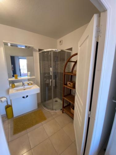 une salle de bain avec douche et lavabo dans l'établissement Appartement Aix en Provence - la Duranne Piscine Parking Privé Dernier Etage, à Aix-en-Provence