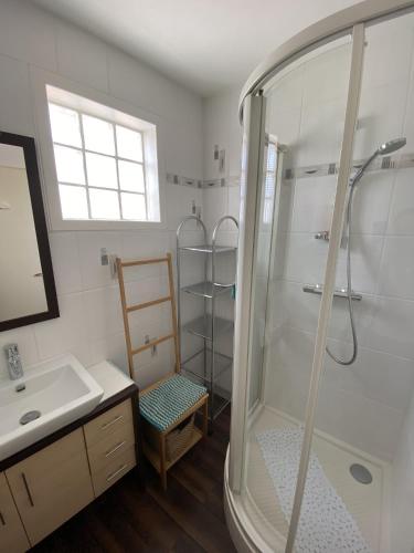 une salle de bain avec douche et lavabo dans l'établissement Appartement Quartier Arago, à Les Sables-dʼOlonne