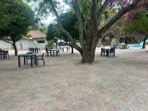 a group of tables and chairs under a tree at Mabalel Lodge in Nelspruit
