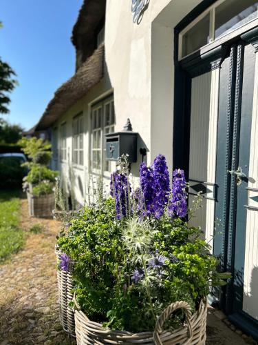 a basket of purple flowers on the side of a house at Boutiquehotel Seiler Hof Keitum in Keitum