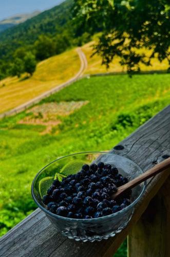 a bowl of blueberries sitting on a wooden table at Katun Lanista-Kolibe Bogavac in Mojkovac