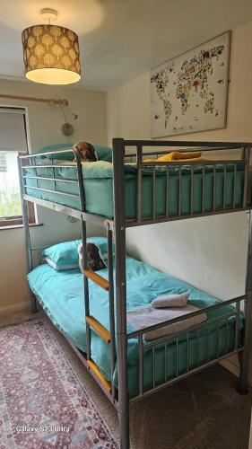 a bedroom with two bunk beds in a room at Howgill in Windermere