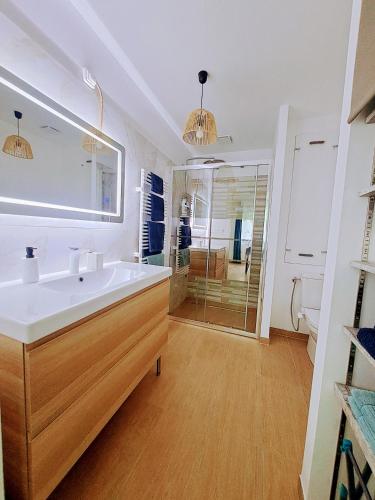 une salle de bain avec un lavabo, un miroir et une douche dans l'établissement LocBreuillet91, à Breuillet