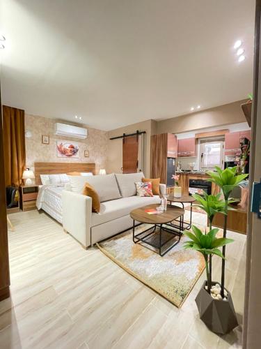 Luxury Studio House 1200-4