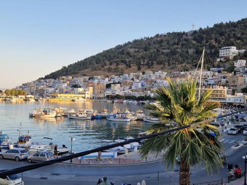 a marina with boats in the water and a palm tree at ARGO Downtown Apartment in Kalymnos