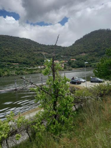 a tree sitting on the side of a river at Casa do Moinho in Resende