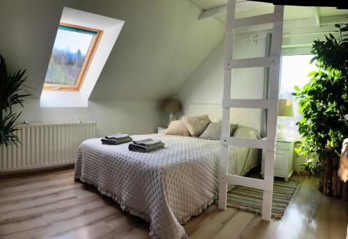 a bedroom with a bed and a ladder at Apartament Pod Piórkiem in Krościenko