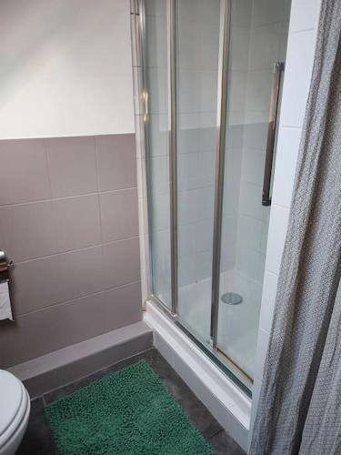La salle de bains est pourvue d'une douche et d'un tapis vert. dans l'établissement Le petit château, à Pierrefonds