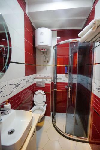 a bathroom with a shower and a toilet and a sink at Apartmani Lazić in Gracanica