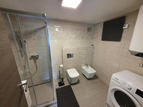 Koupelna v ubytování Apartment Ledince