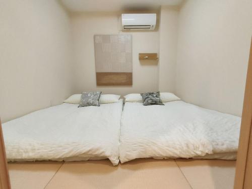 41池袋最中心 两室一厅 池袋站10分 2 rooms Ikebukuro center 10 mins to ST Max 5P 直达新宿 涉谷 表参道 池袋 上野 代代木 银座 原宿