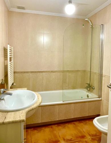a bathroom with a shower and a sink and a tub at CarreraHouses Lugo in Vigo