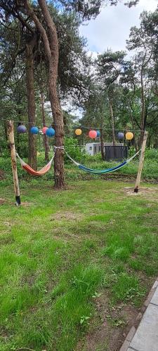 a hammock tied to a tree in a park at Hellendoornse boshuisje Tranquilo in Haarle
