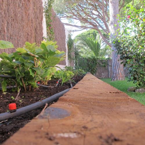a walkway in a garden with plants and trees at Villa Alegría in Roche
