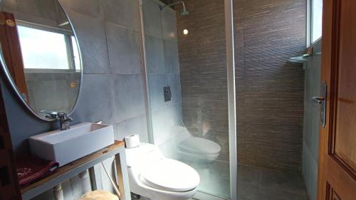 uma casa de banho com um WC, um lavatório e um espelho. em Casa 363/ 2-8 personas em Tarija