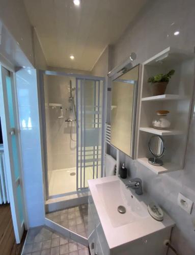 une salle de bain avec un lavabo blanc et une douche dans l'établissement Meublés d'Anna, à Aix-les-Bains