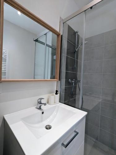 une salle de bain avec un lavabo blanc et une douche dans l'établissement La pause roannaise, à Roanne