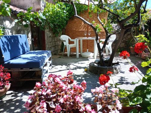 Zahrada ubytování CASA FIGUS Via Azuni 5 Narbolia