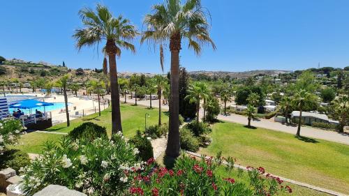 un parco con palme e una piscina di HolaCamp Albufeira ad Albufeira