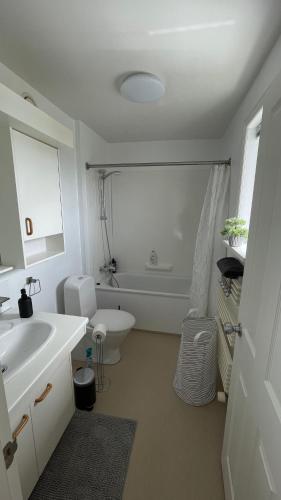 a bathroom with a sink and a toilet and a tub at IQ Apartments 2 in Keflavík