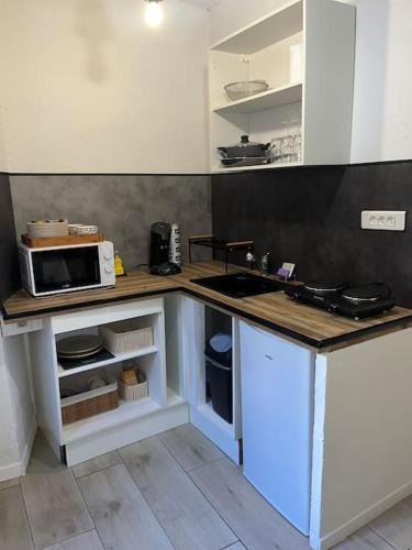 - une cuisine avec un comptoir et un four micro-ondes dans l'établissement Studio coup de cœur - Lorgues, à Lorgues