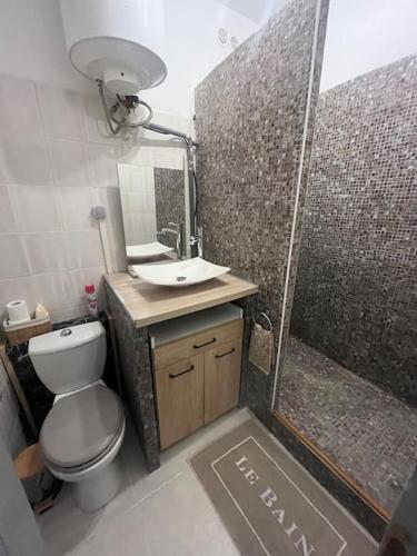 une salle de bain avec toilettes, lavabo et douche dans l'établissement Studio coup de cœur - Lorgues, à Lorgues