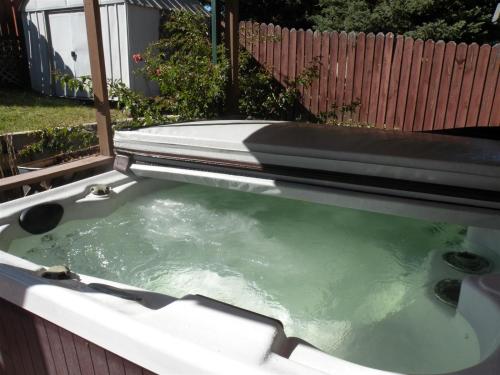 a bath tub filled with green water next to a fence at Park Creek Place in Hill City