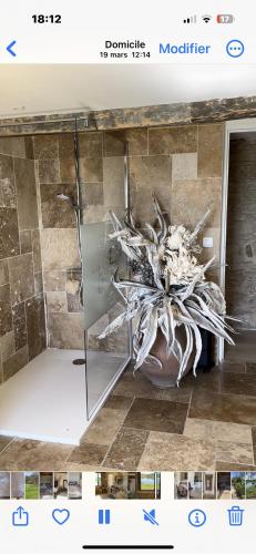 une grande fleur dans une vitrine en verre dans une salle de bain dans l'établissement DOMAINE DU LAC DE MONTPITOL, à Verfeil
