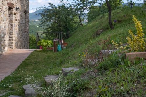 a grassy hill with a bunch of bananas on it at Il Casale-toscoemiliano in Camugnano