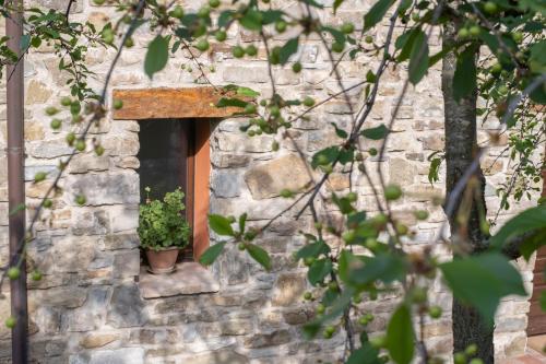 a window in a stone wall with a potted plant at Il Casale-toscoemiliano in Camugnano