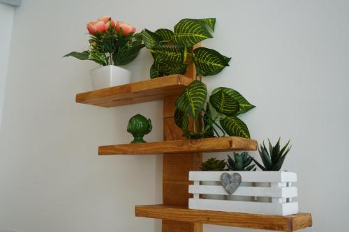 Dimora Antomarti photo 18