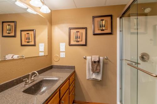 a bathroom with a sink and a shower at Prairie Creek Cabin w/Hot tub in Rapid City