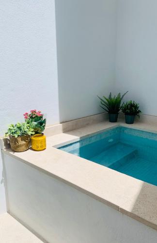 Casa Longa Faro Entire House - Plunge Pool and Terrace